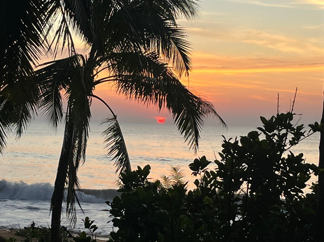 金佛海滩度假村主图