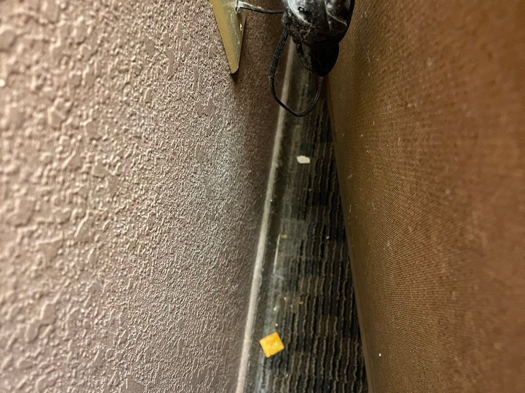 Best Western Plus Shamrock Inn & Suites主图