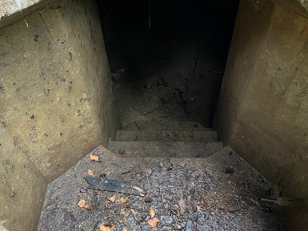 Museo Storico della Linea Gotica di Montemurlo-Montemurlo必去景点