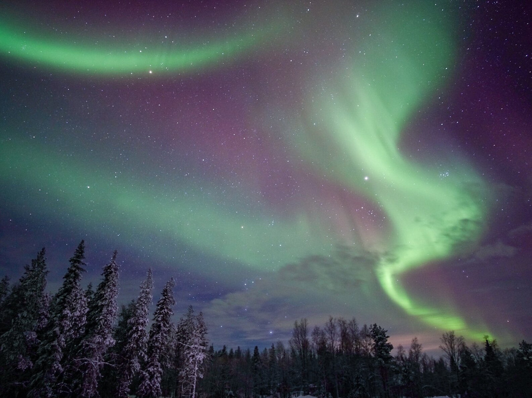 Lapland Explorers-罗瓦涅米必去景点