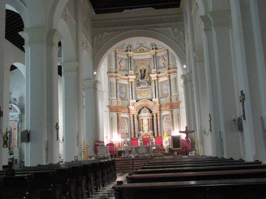 Metropolitan Cathedral (Catedral Metropolitan)景点图片