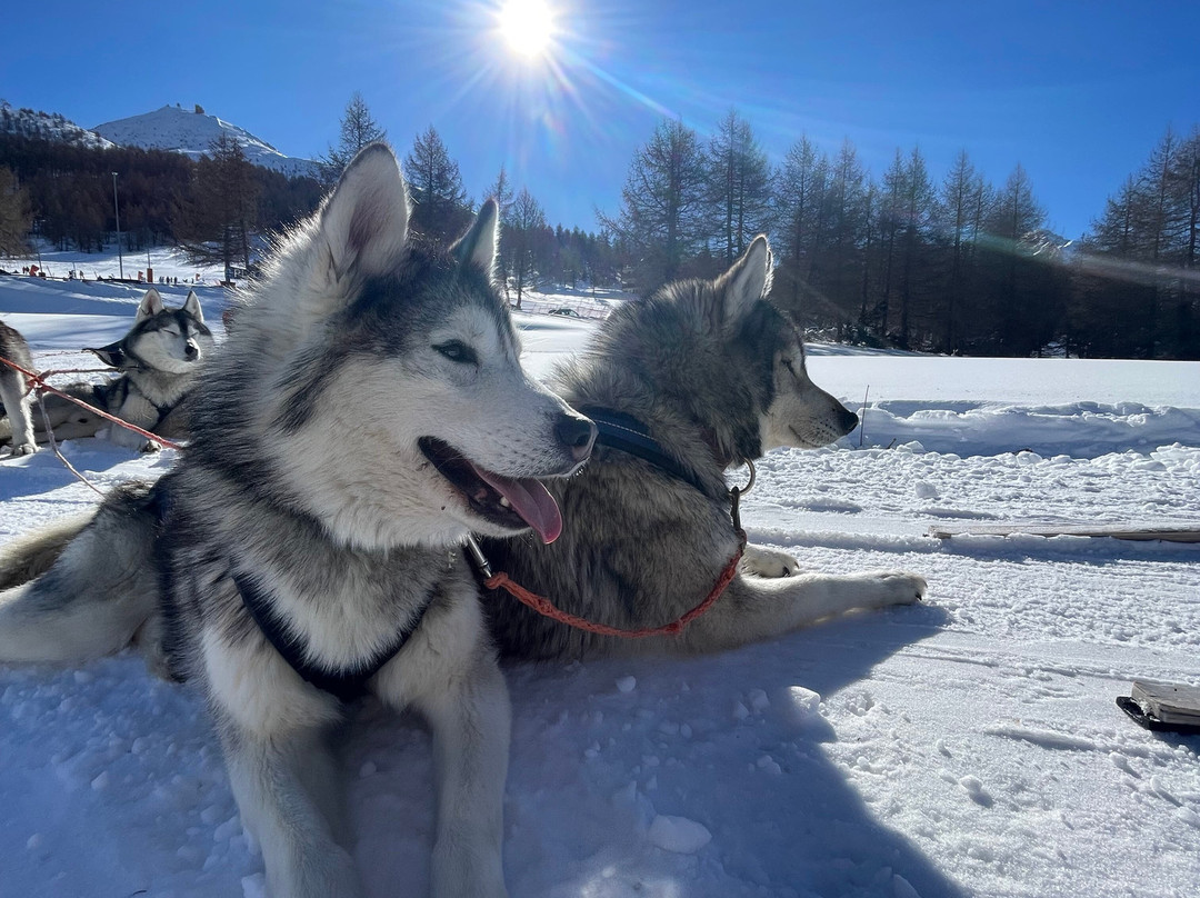 The Husky Experience Sestriere-Sestriere必去景点