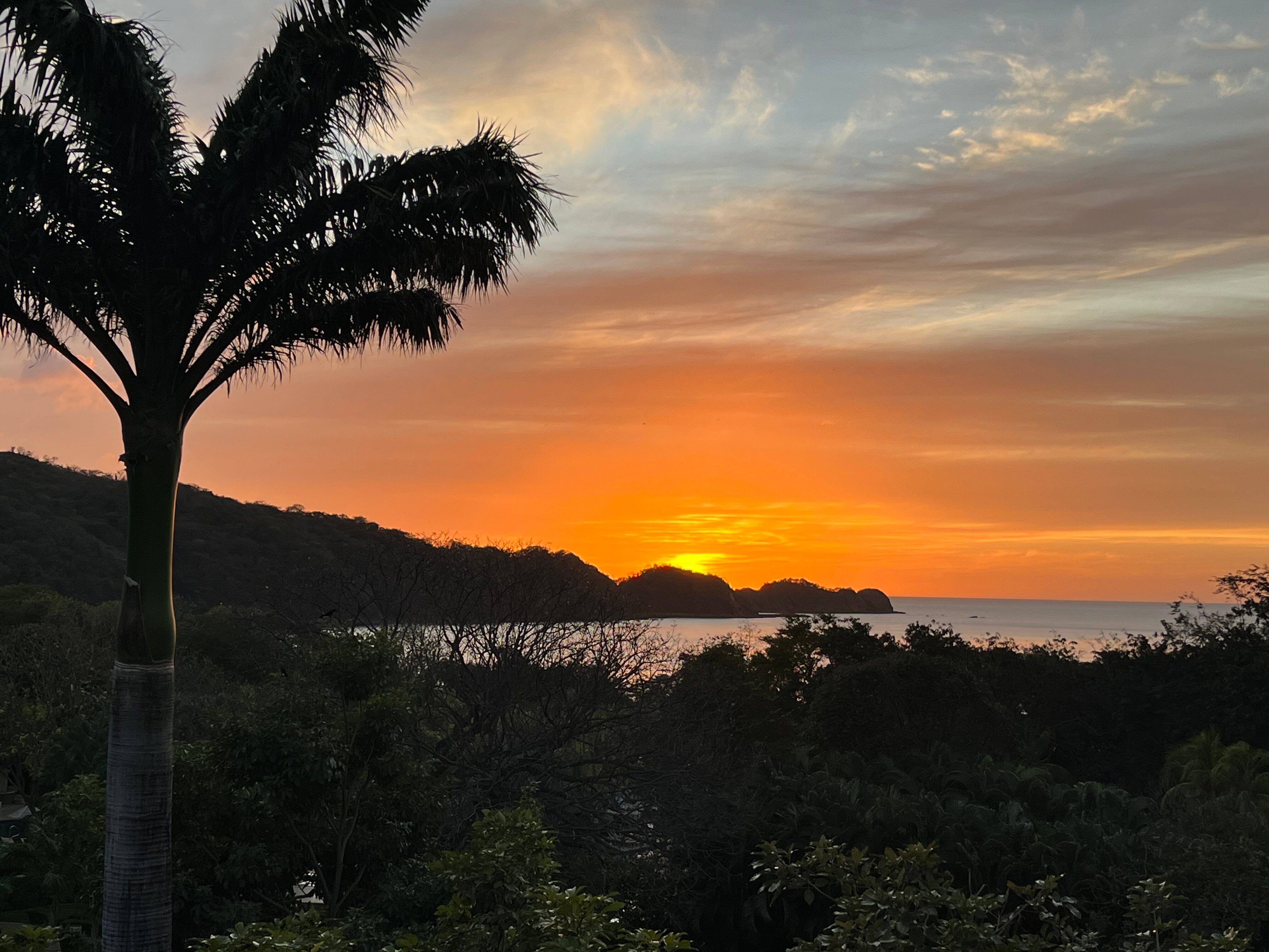 Dreams Las Mareas Costa Rica-官方