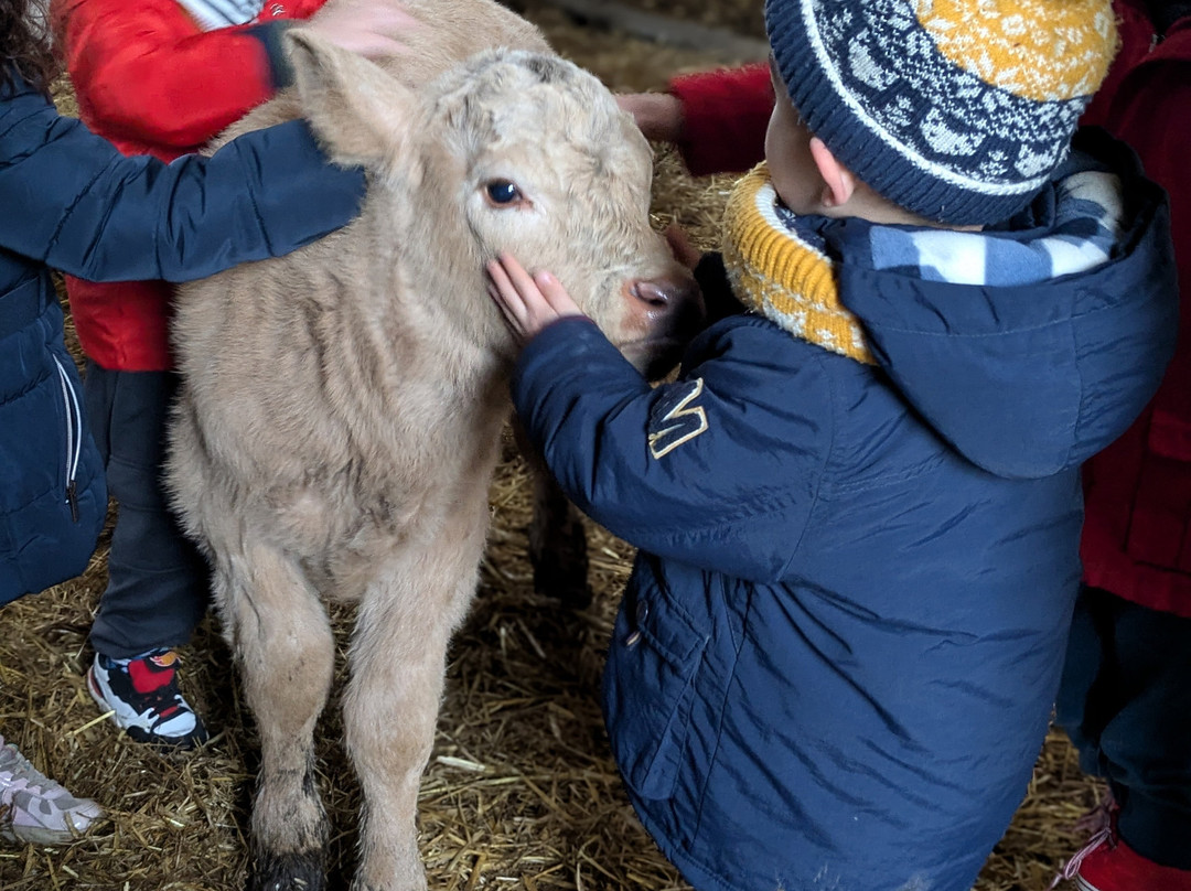 Ferme Pédagogique du Lieu Roussel景点图片