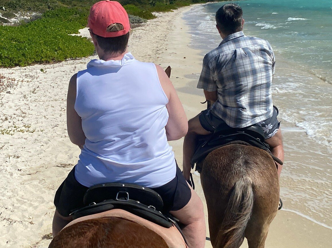 Heritage Tours & Horseback Riding-普罗维登西亚莱斯必去景点