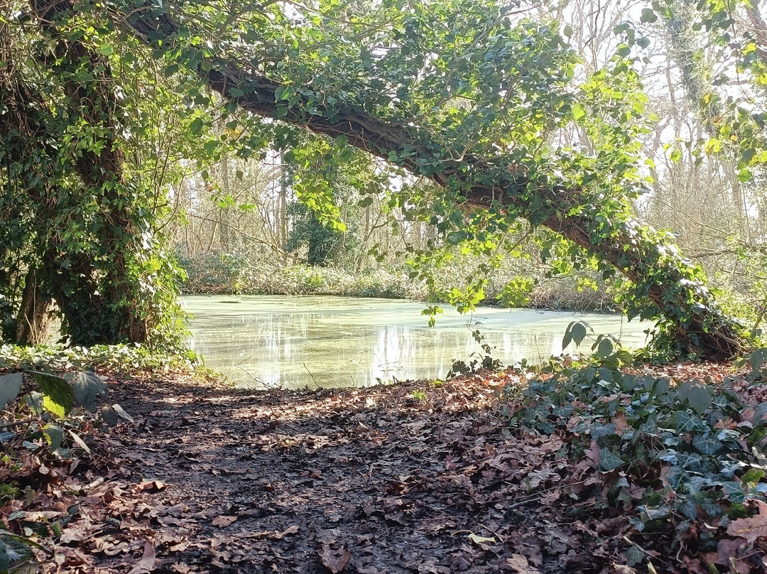 Scadbury Park景点图片