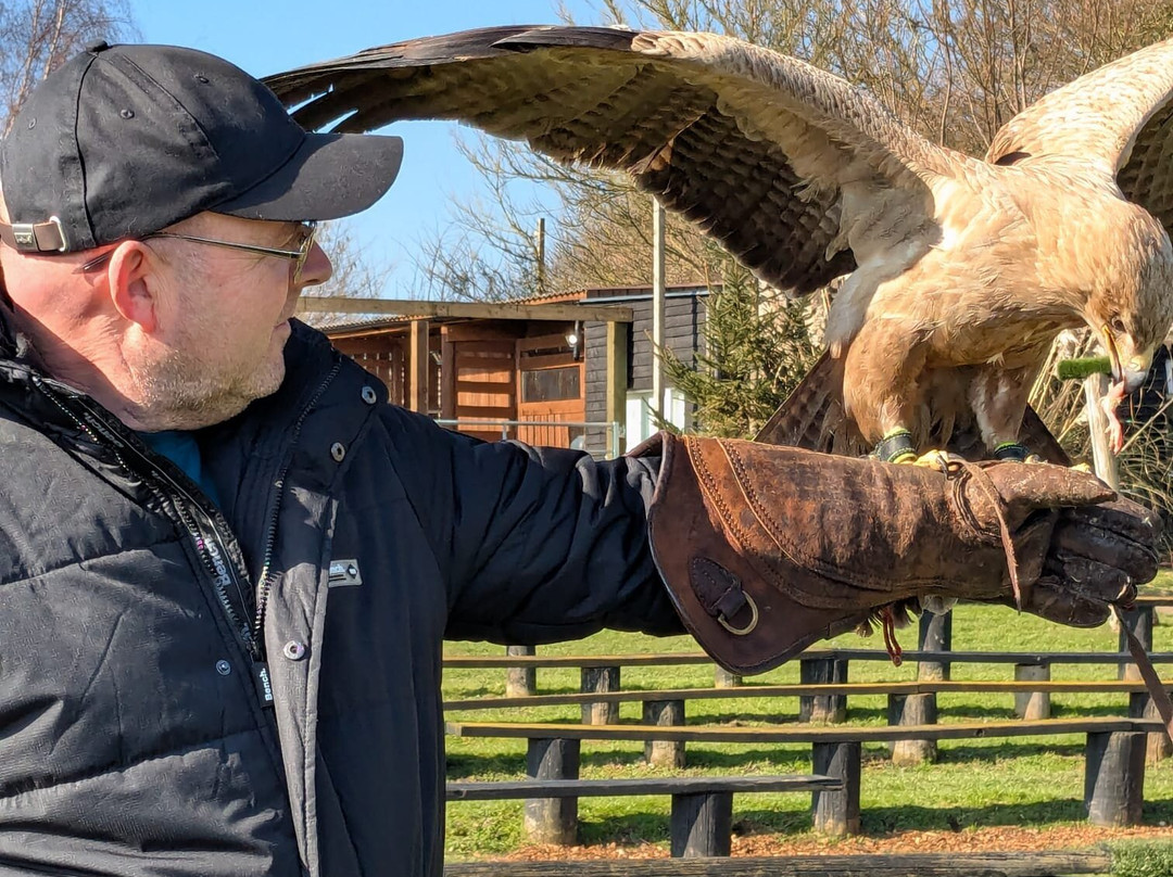 Eagle Heights Wildlife Foundation景点图片
