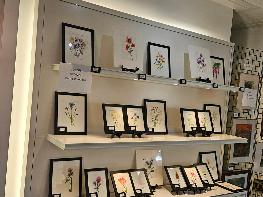 Gallery Eleven-查尔斯顿必去景点