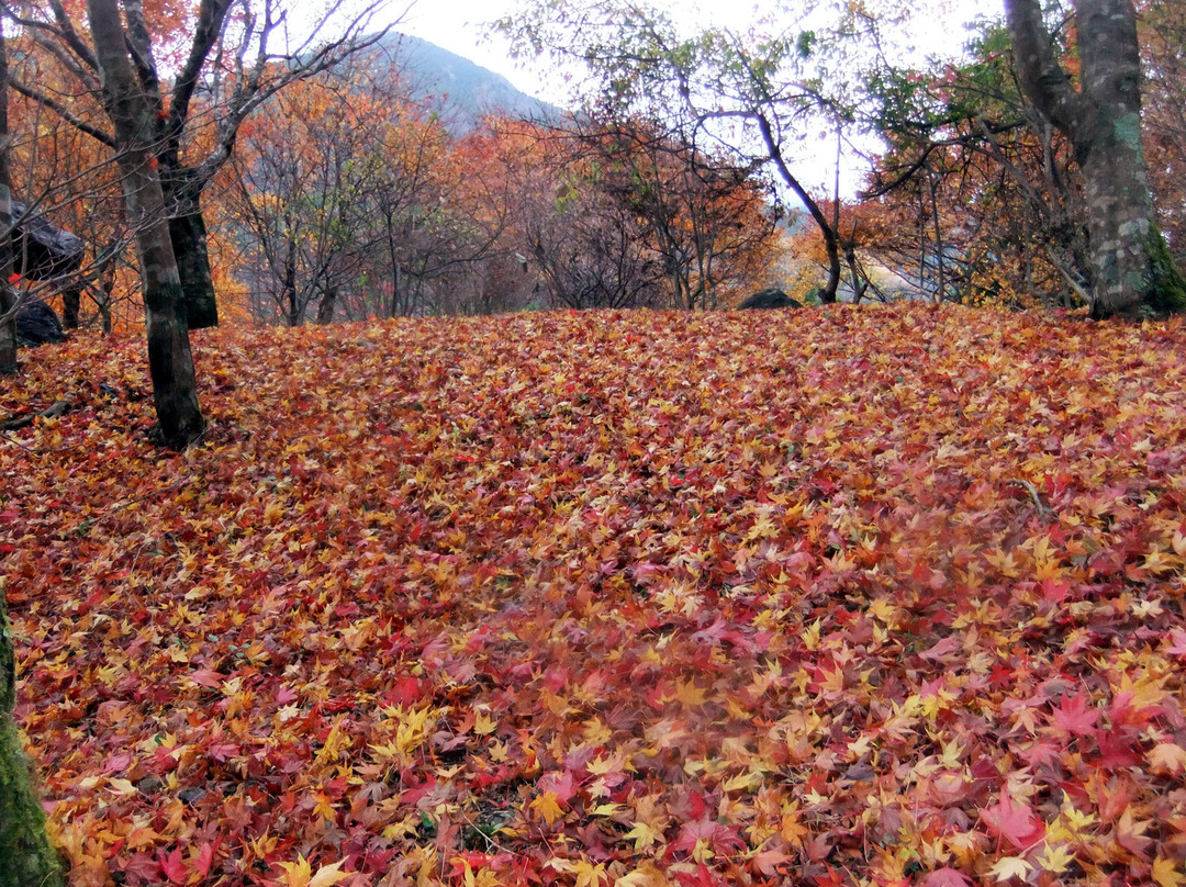 Konose Gorge-那贺町必去景点