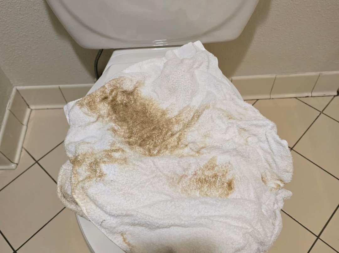 Holiday Inn Tyler - Conference Center By IHG主图