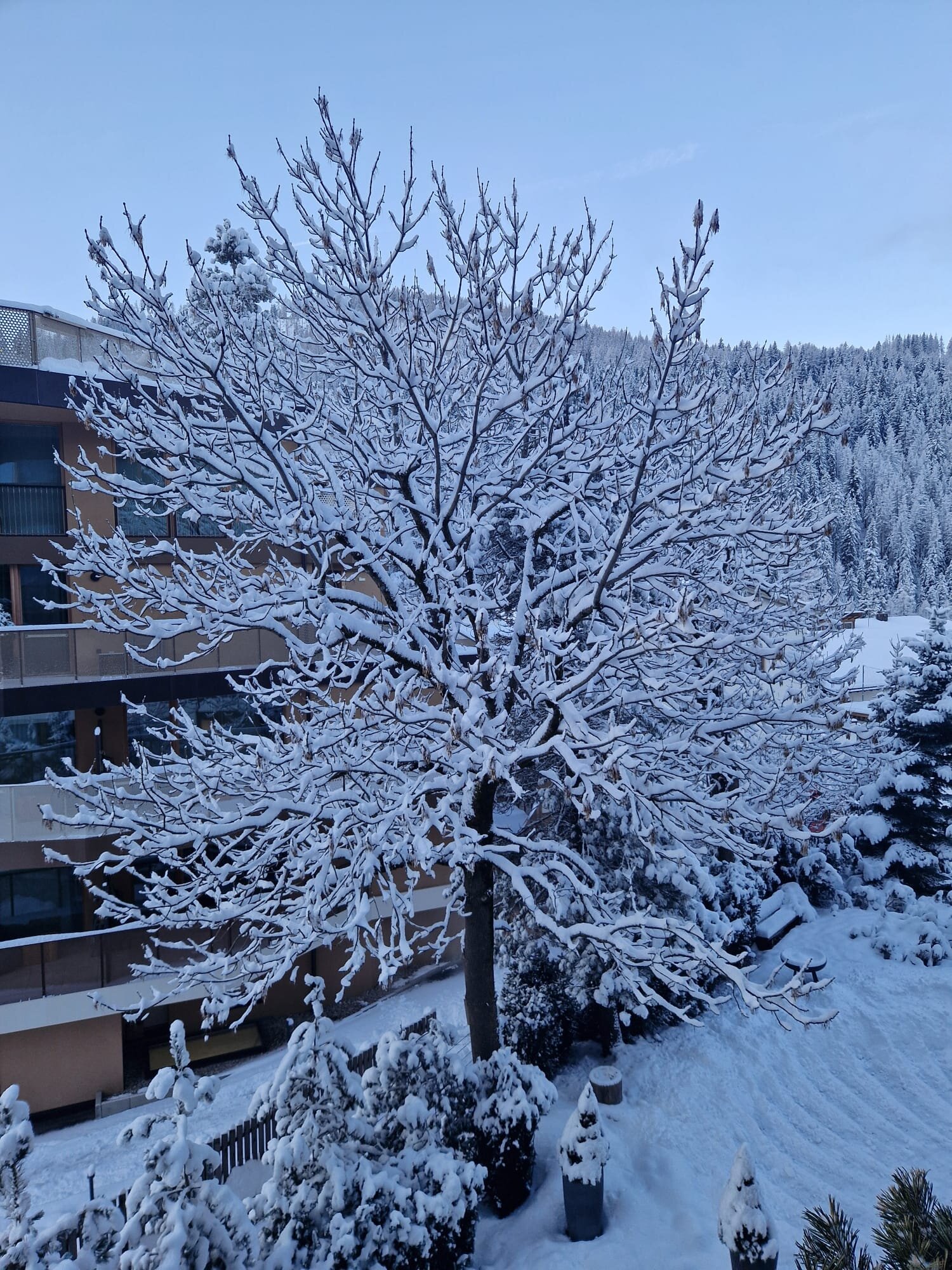 Hotel Conturines In Alta Badia-客卧