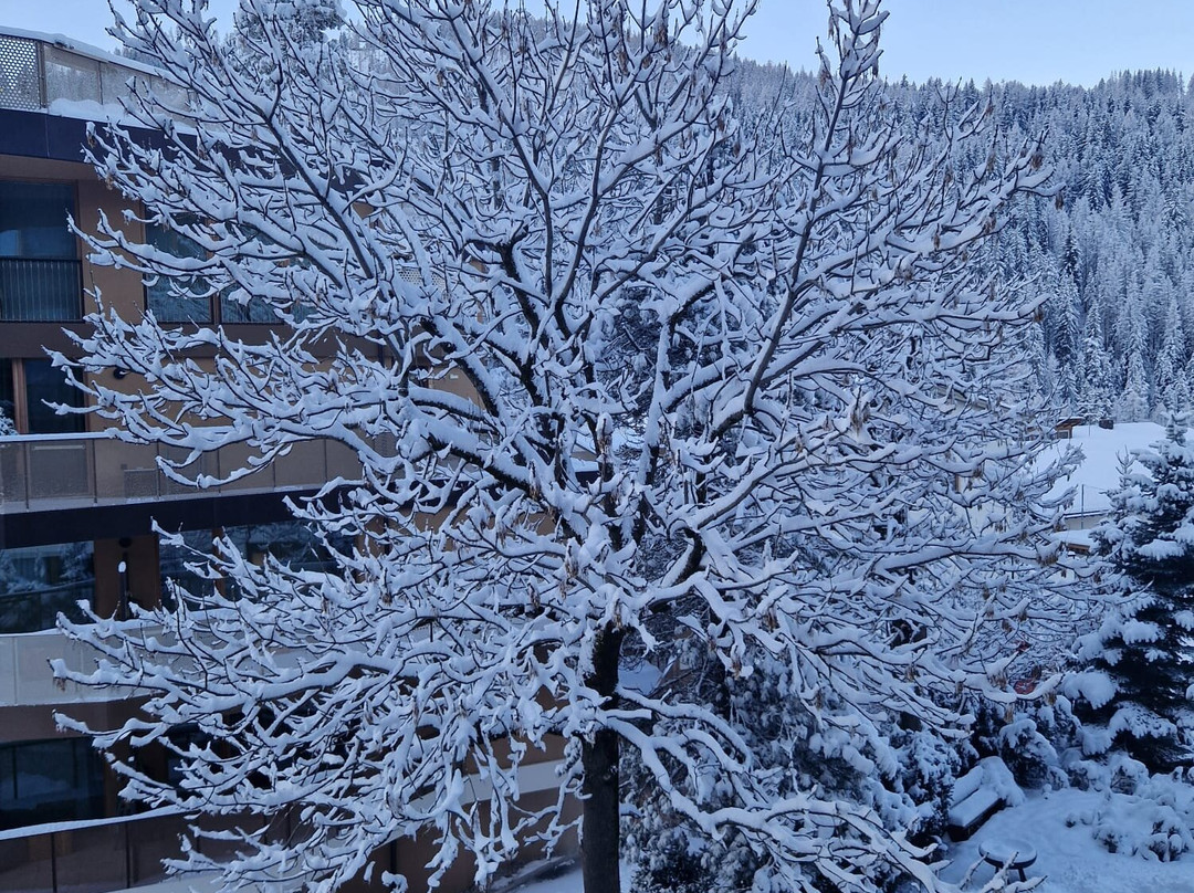 Hotel Conturines In Alta Badia主图