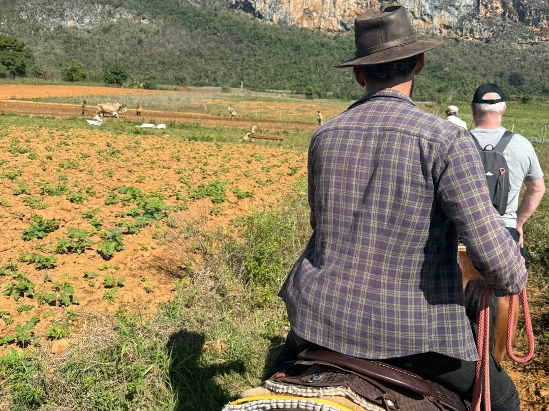 JMC Vinales Aventura景点图片