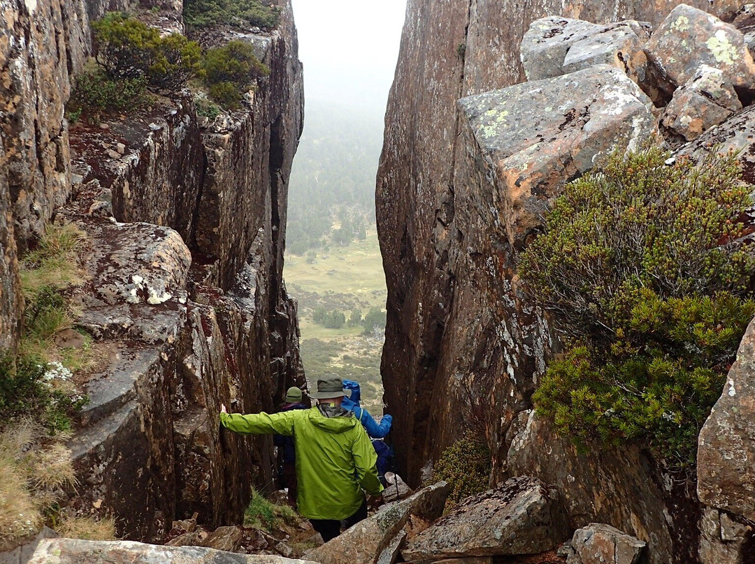 Trek Tours Australia-朗塞斯顿必去景点