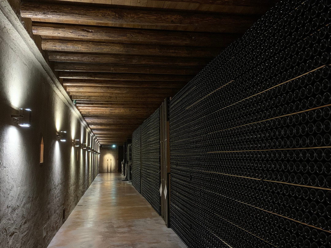 Cantina Majolini-Ome必去景点