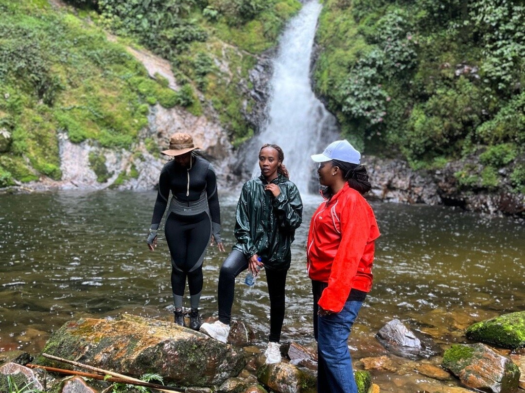 Nyungwe National Park - Rwanda景点图片