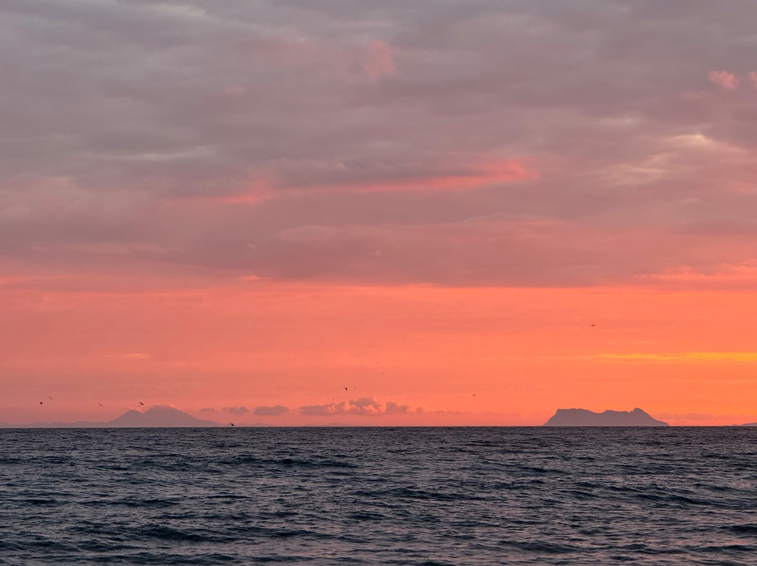 Marriott's Playa Andaluza主图