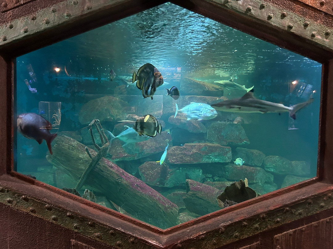 Aquarium d'Amneville景点图片