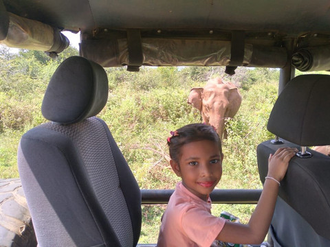 Sithu Tours and Taxi Service-马塔拉必去景点