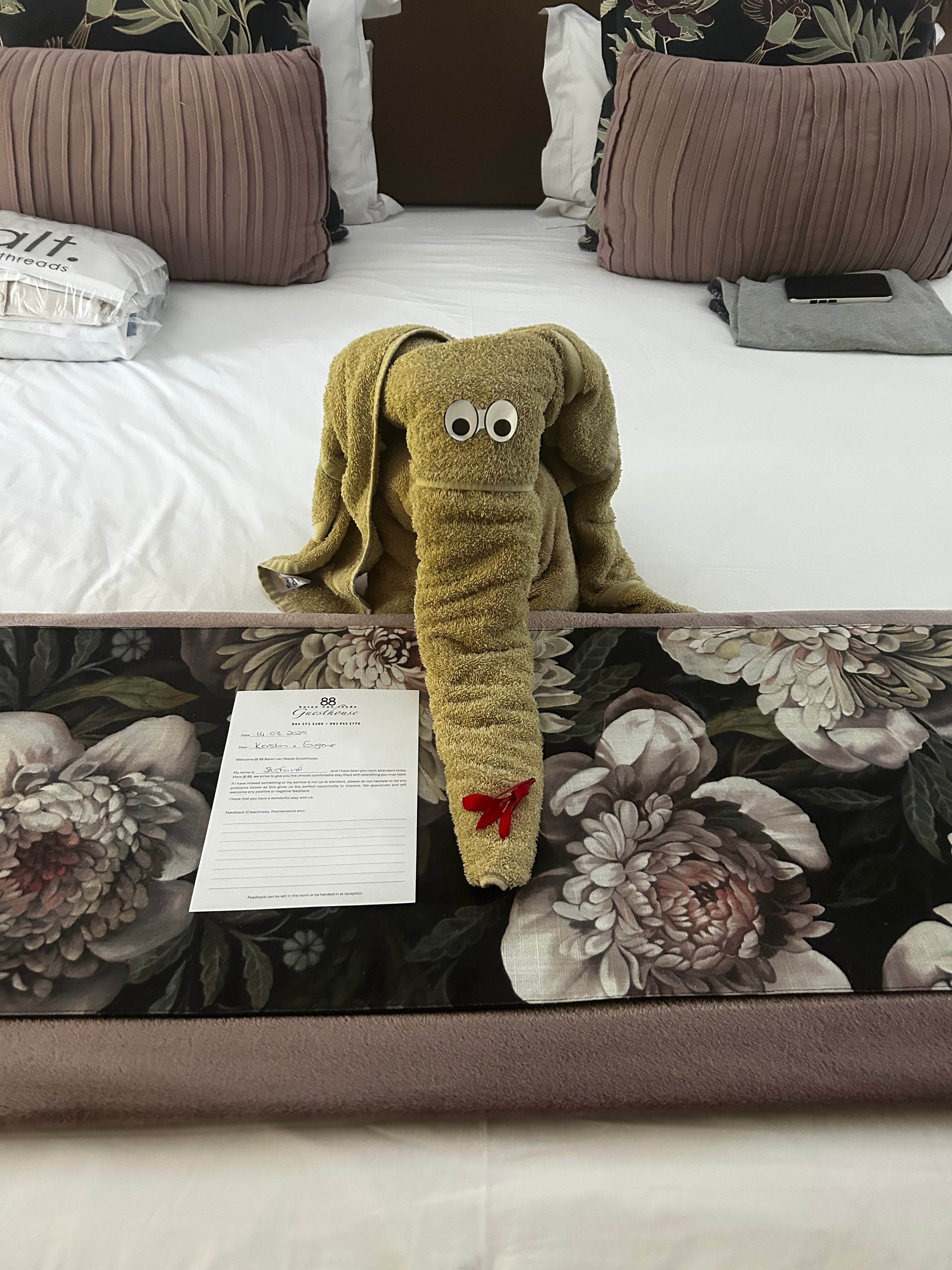 88 Baron van Reede Guesthouse-客卧
