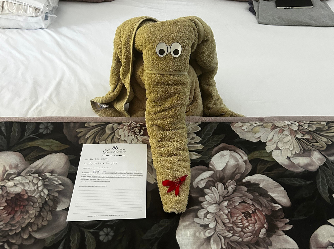 88 Baron van Reede Guesthouse主图