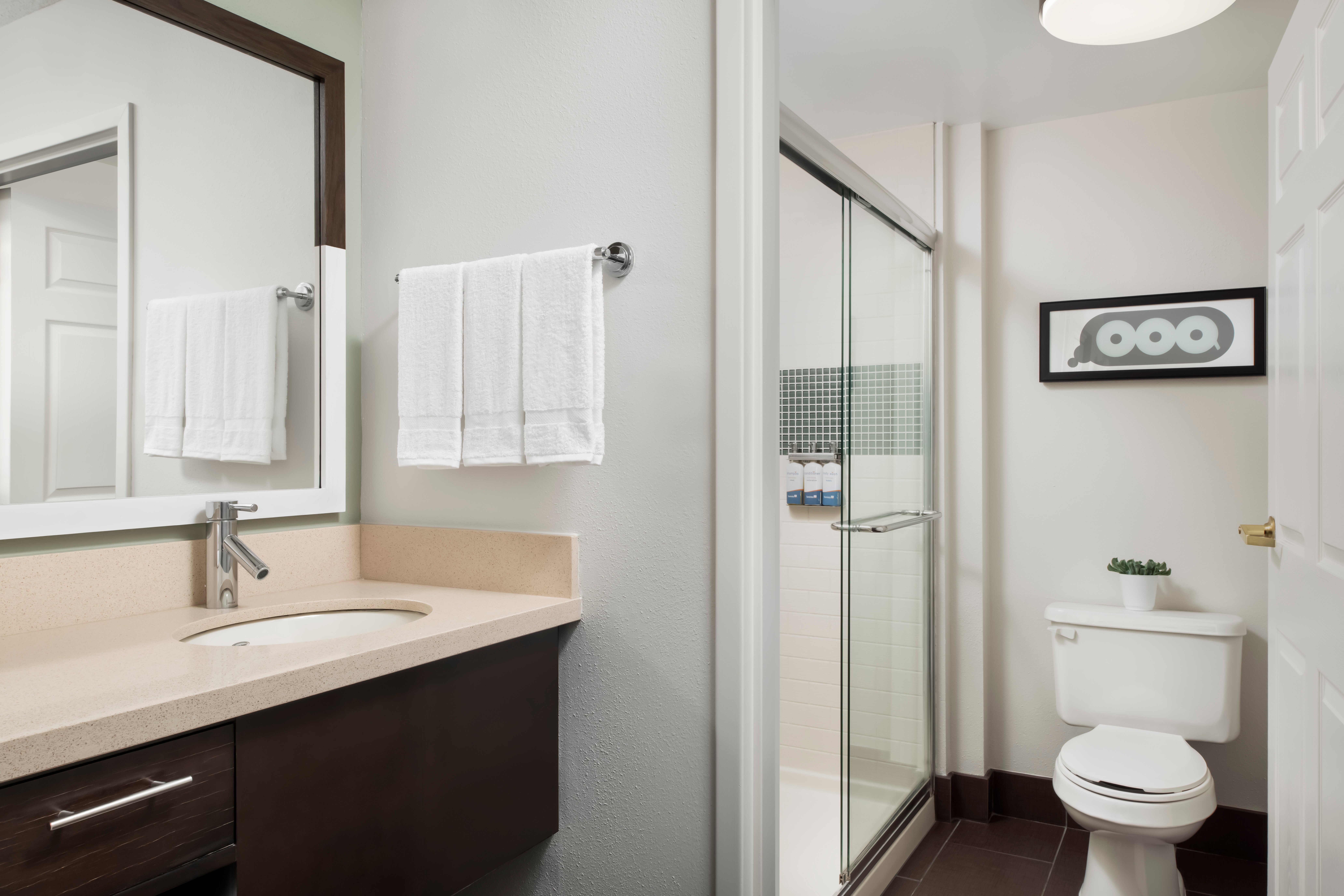 Sonesta Es Suites Toronto Markham-浴室