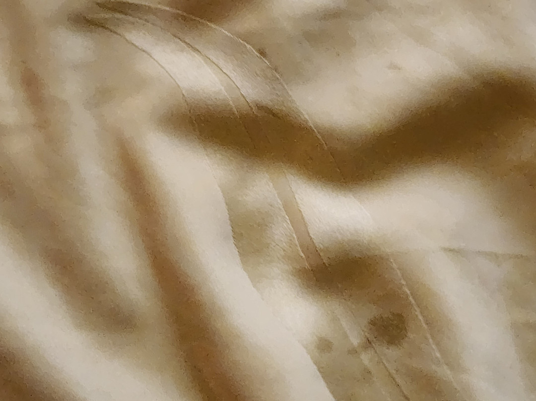 Baymont by Wyndham Springfield主图