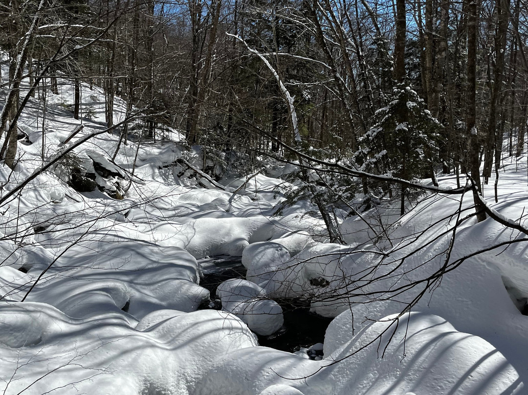 Snowmobile Vermont-斯托必去景点