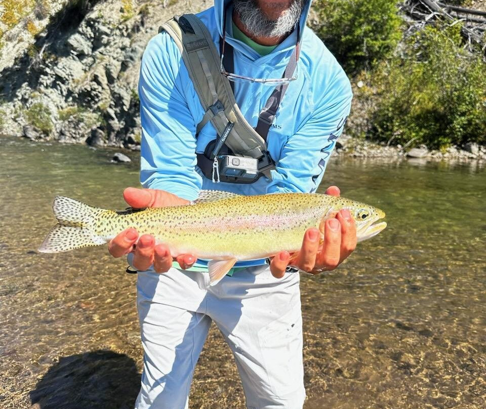 A Lazy H Outfitters-Choteau必去景点