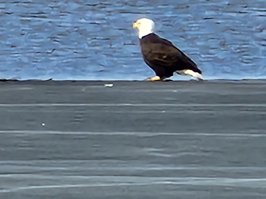 Baymont by Wyndham la Crosse/Onalaska主图