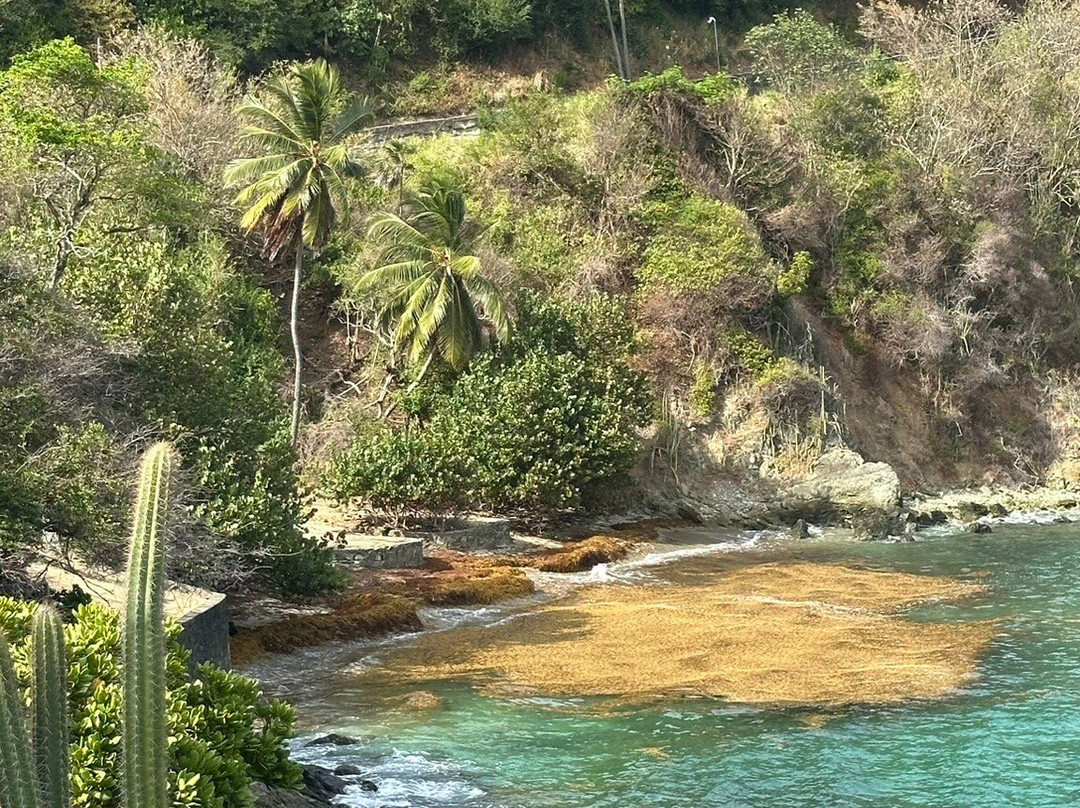 Unique Tours Tobago -Tours-斯卡伯勒必去景点