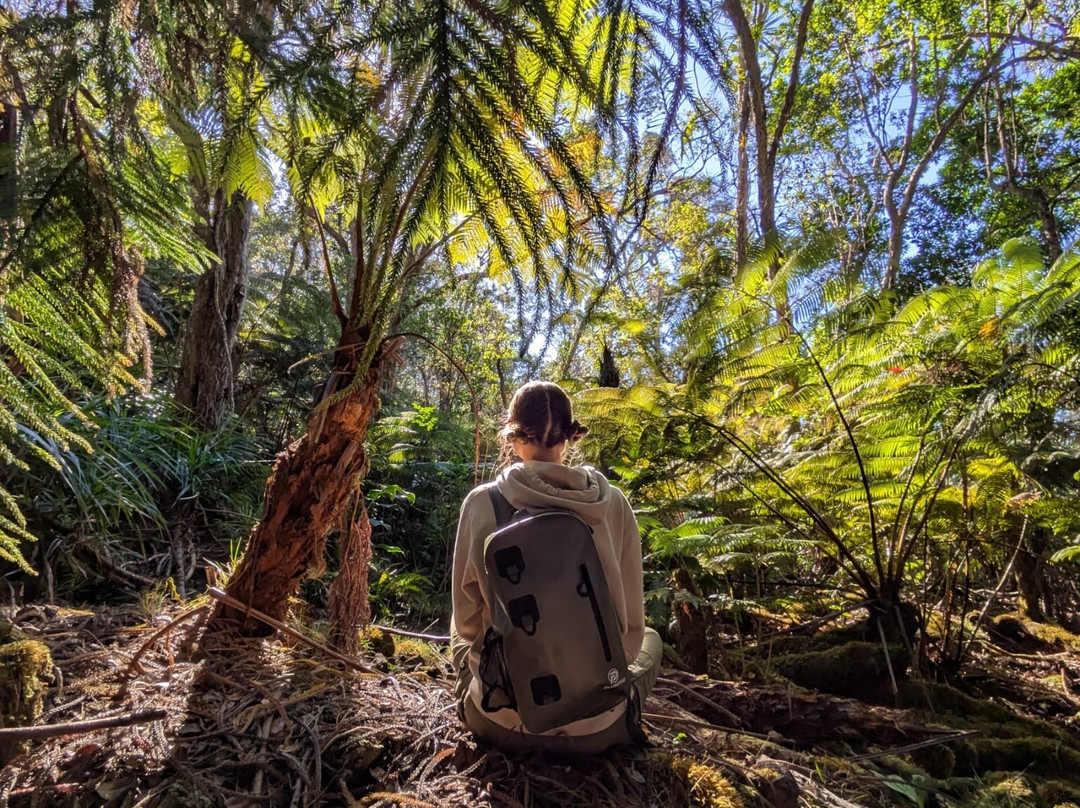 Exploring Within-凯鲁瓦-柯纳必去景点