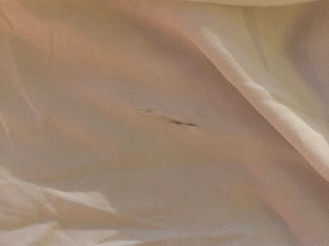 美人鱼暨会馆酒店主图