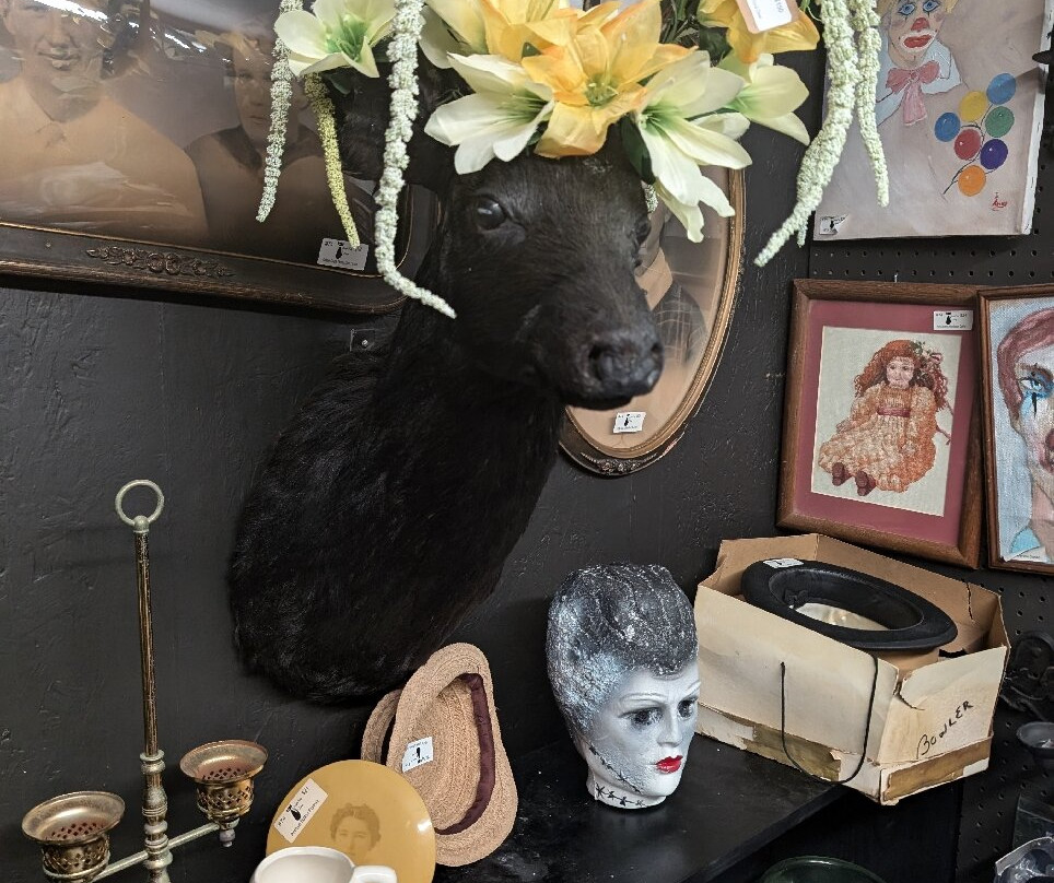 Camp Flea Antique Mall景点图片