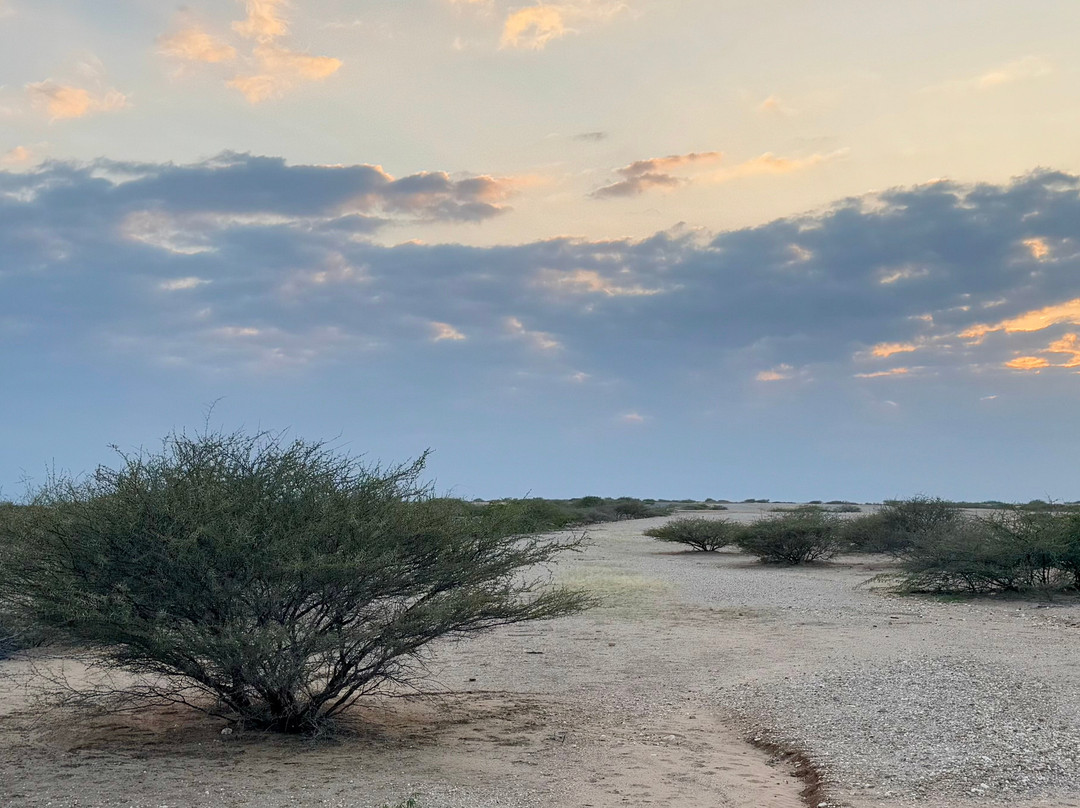 Adulis Travel-阿斯玛拉必去景点