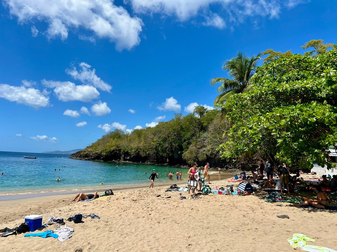 Anse Dufour-Les Anses d'Arlet必去景点