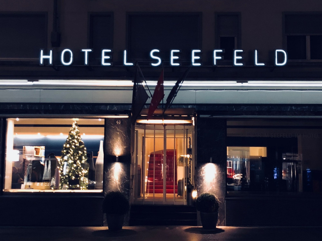Boutique Hotel Seefeld主图