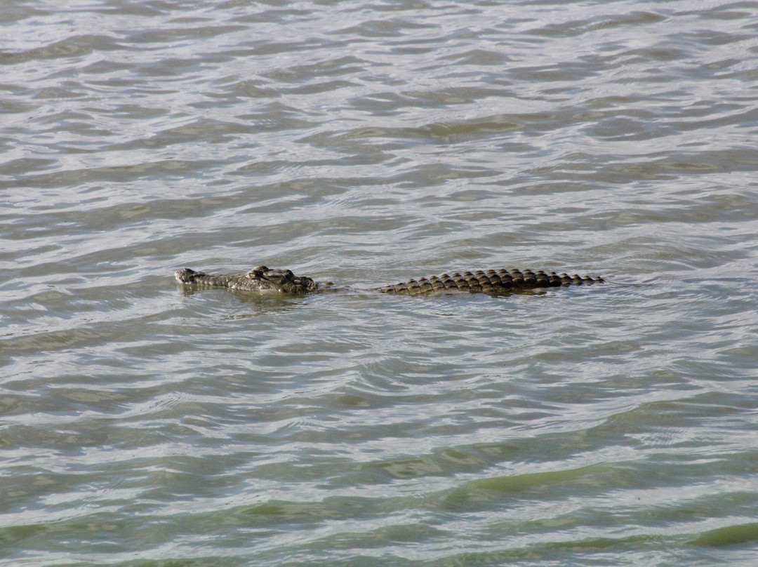 Heritawi safaris-Karen必去景点