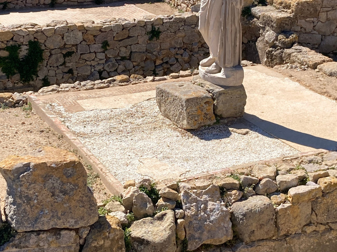 Ruïnes d'Empúries景点图片