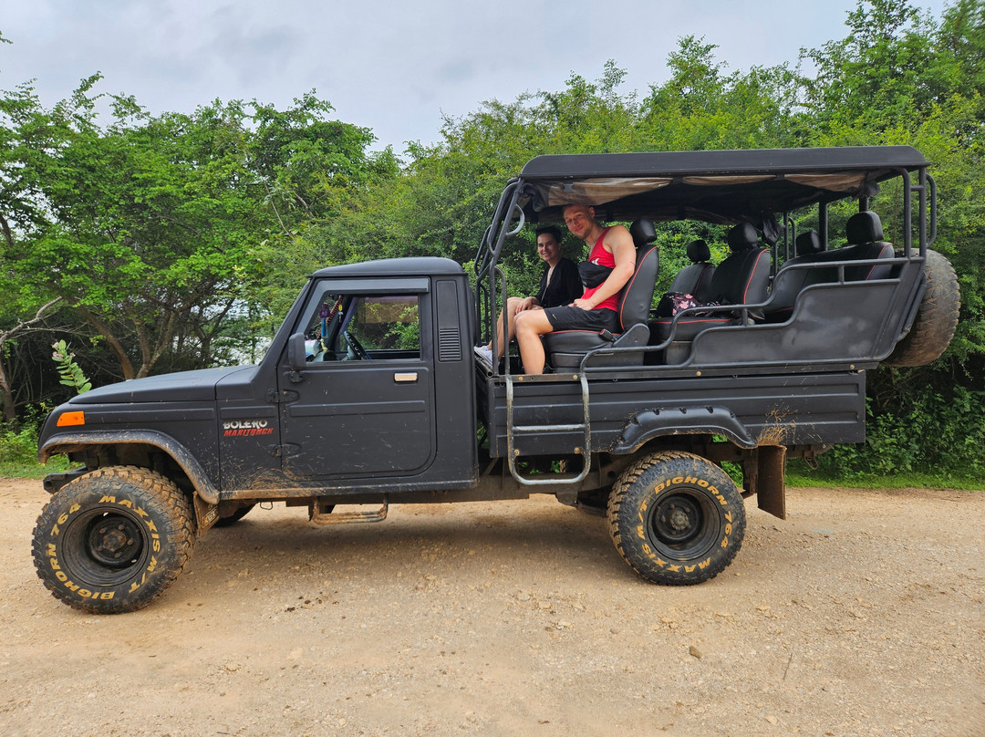 Udawalawe Safari Jeep With Guides景点图片