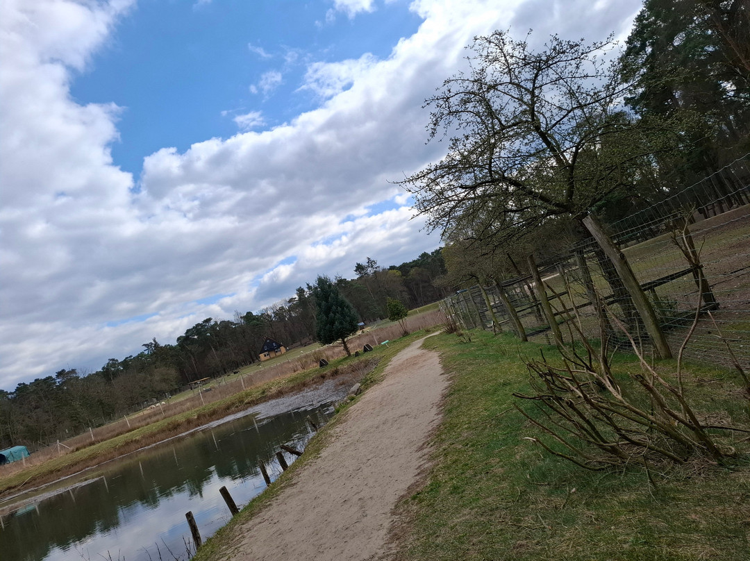 Wildpark Johannismühle-Baruth必去景点