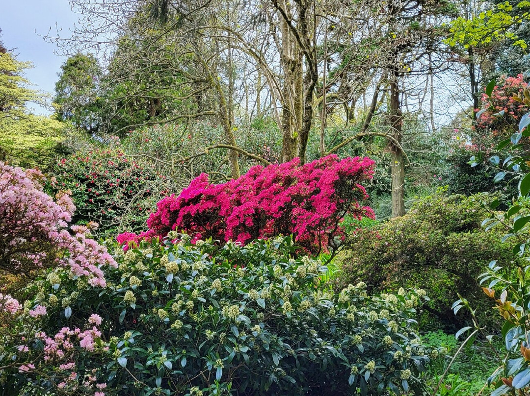 Trewidden Garden-Newlyn必去景点