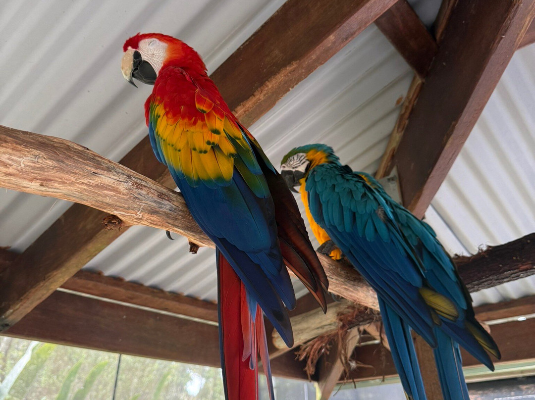 Birdworld Kuranda景点图片