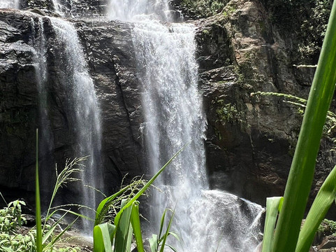 Mr journey-加勒必去景点