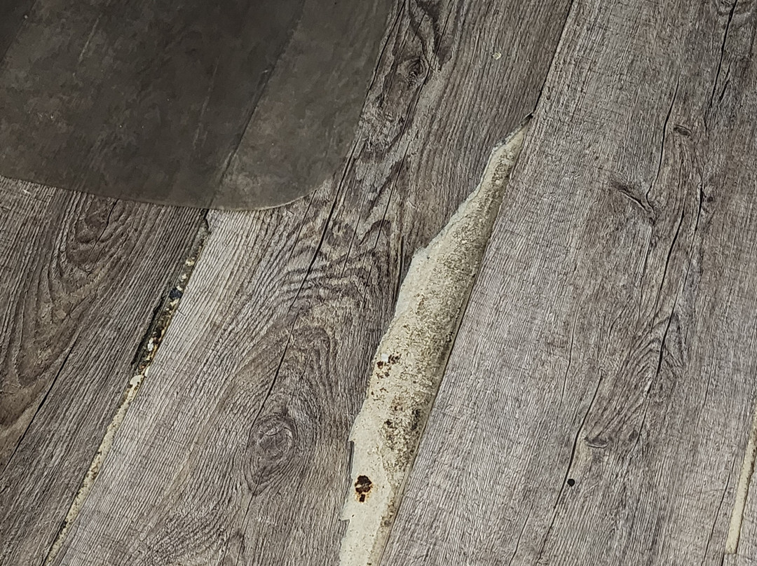 SpringHill Suites by Marriott Kingman Route 66主图