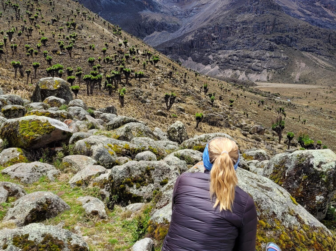 Pinnacle Alpine Tours and Treks-Naro Moru必去景点