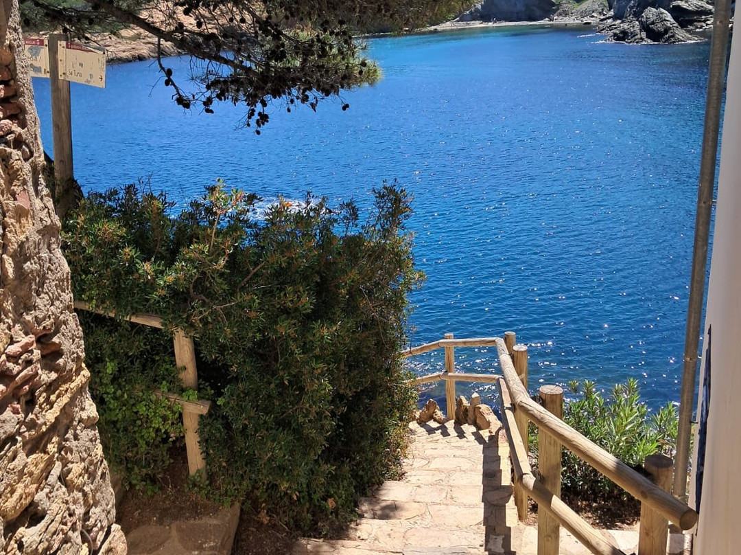 Plage de Sa Tuna景点图片