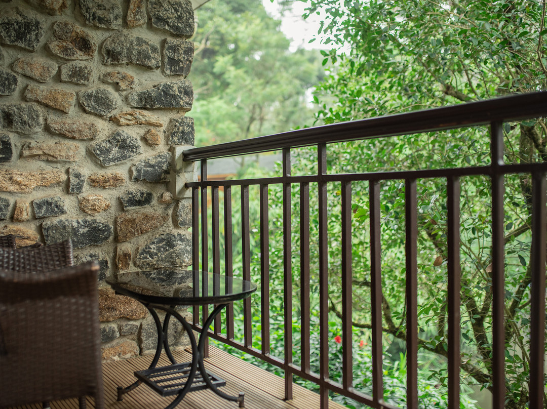 Misty Mountain Plantation Resort主图