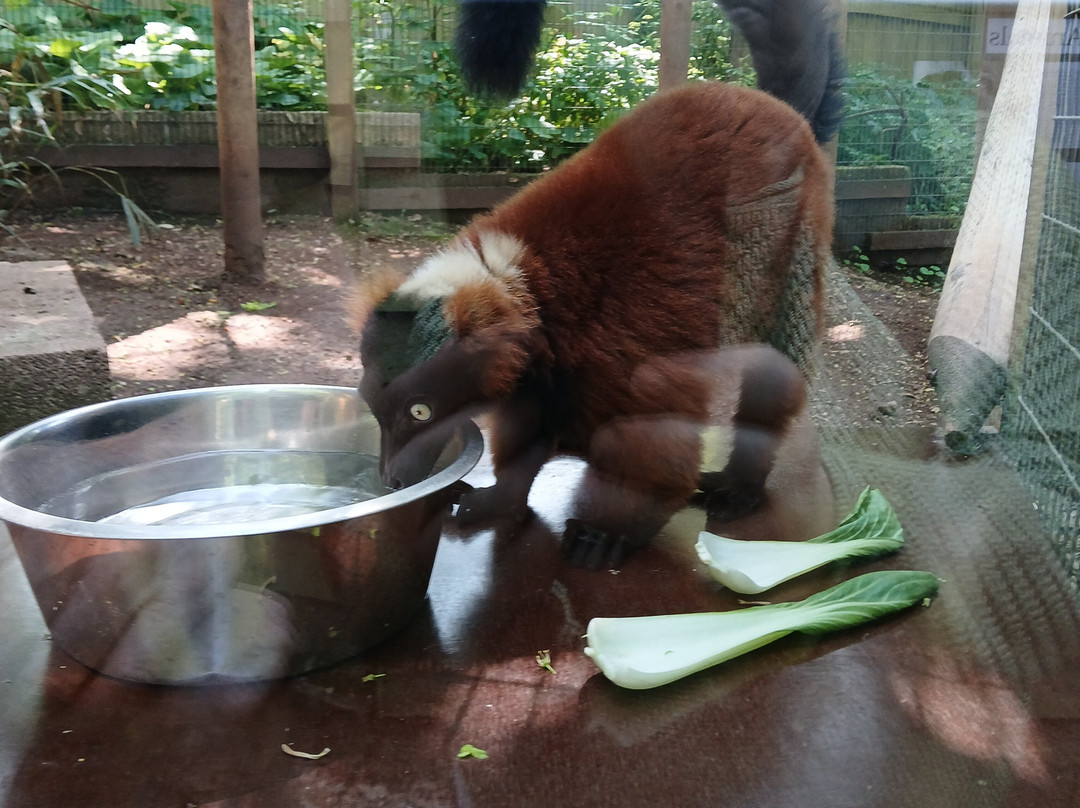 Shaldon Wildlife Trust景点图片