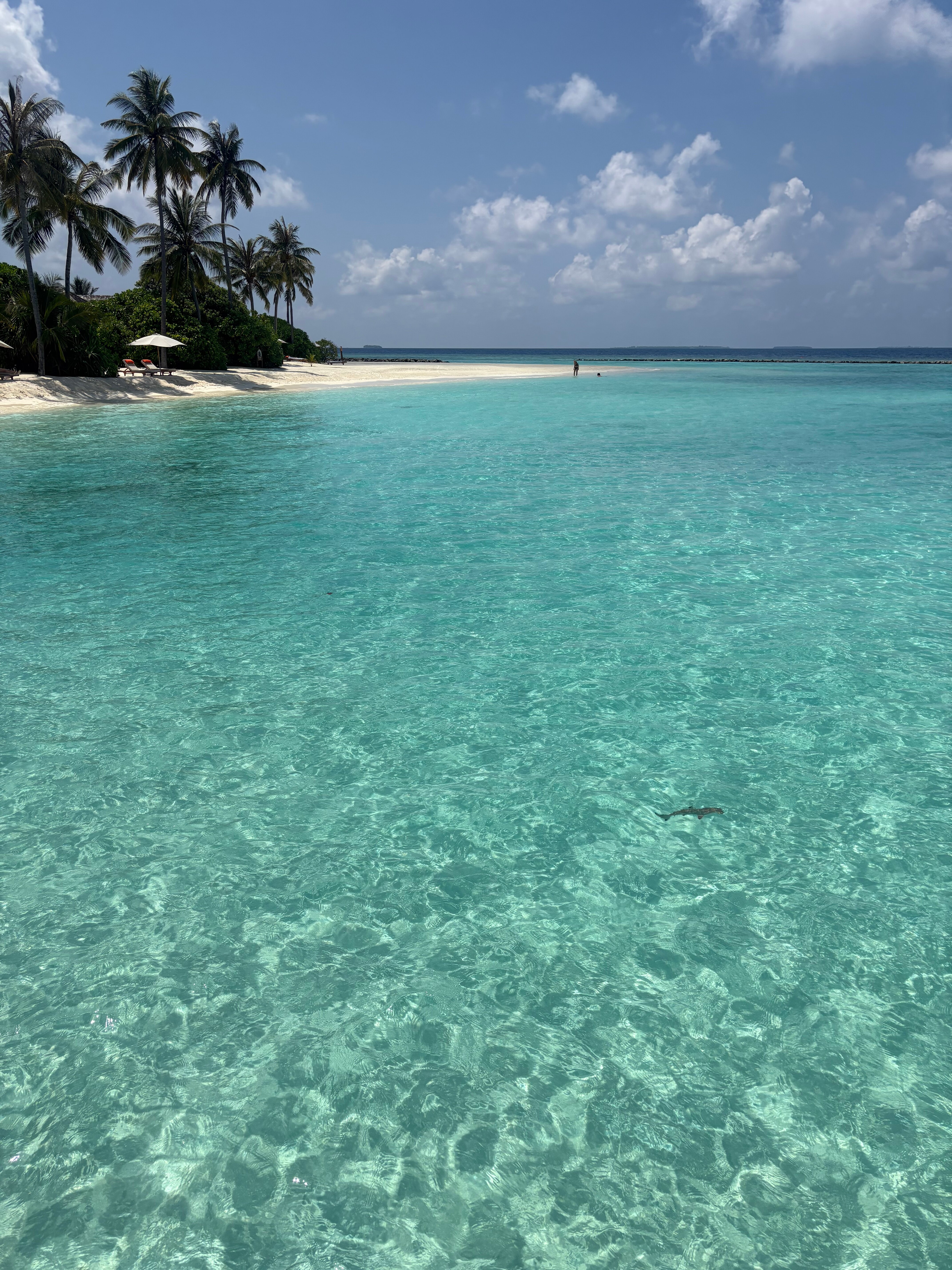 Emerald Faarufushi Resort & Spa-泳池